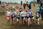 Senior women, 2018 Northern Cross Country Champs., Harewood House, Leeds. Photo: David T. Hewitson/Sports for All Pics